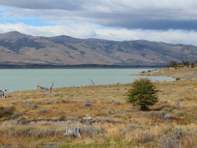 Désert de Patagonie