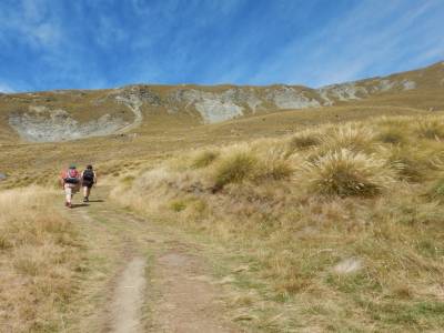 Roys Peak Track