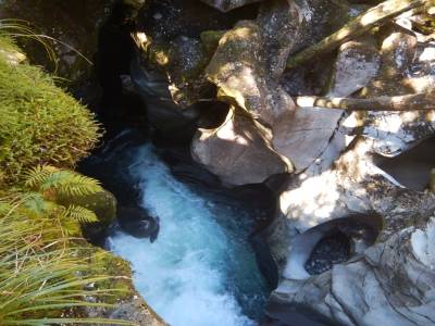 The Chasm