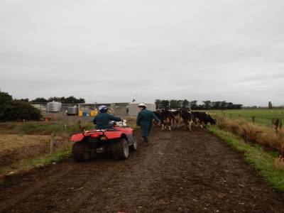A la ferme