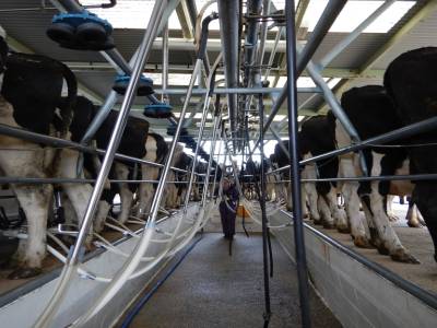 A la ferme