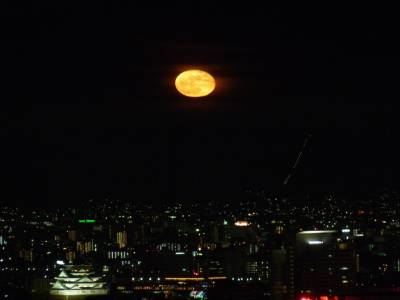 Vue depuis le Sky Garden de nuit
