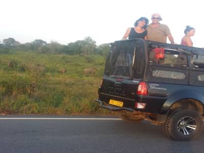 SAFARI