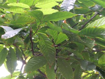 test 1