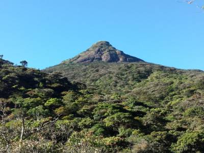 ADAMS PEAK