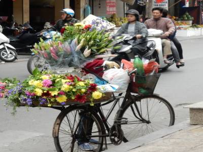 VENDEUSE DE FLEURS A VELO