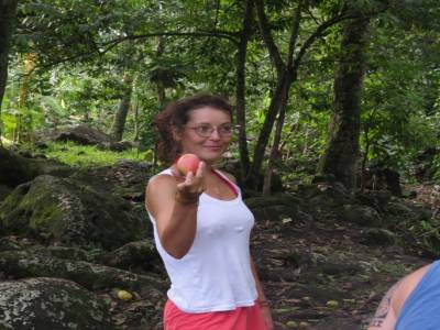 mangues, avocats, corrossoles
