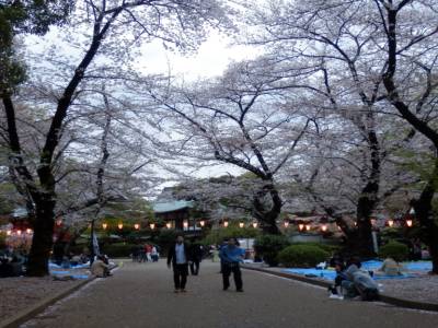 Ueno