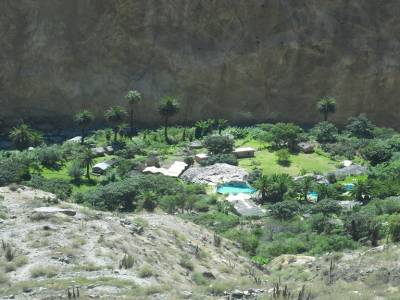 Oasis
