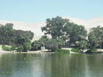 Oasis d Ica