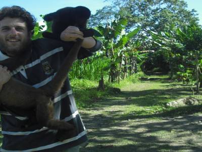 Attaque par des singes