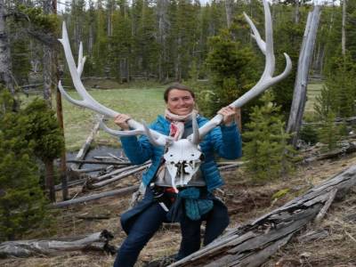 Rencontre avec un Wapiti