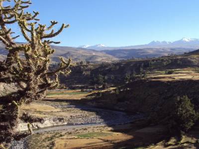 valle de Colca