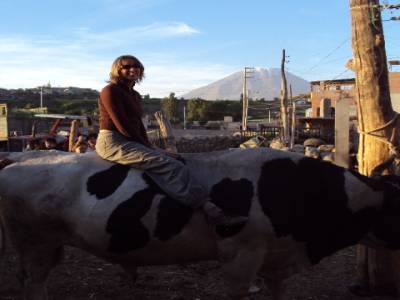 eve sur un taureau de combat