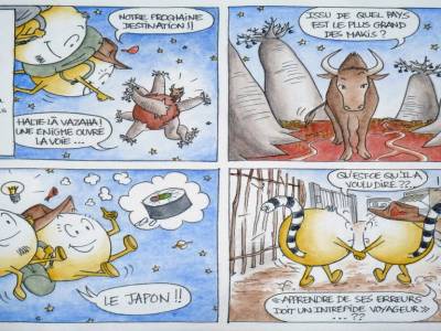 C'est la catta des makis