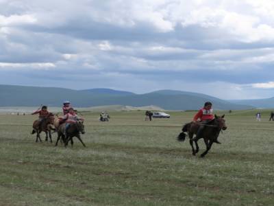 Course de chevaux - Naadam