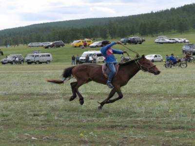 Course de chevaux