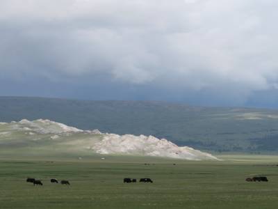 Paysage
