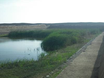 L etang des sacrifices