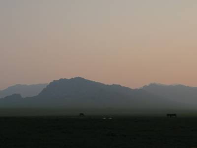 Montagnes brumeuses