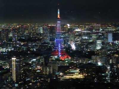 Vue de Tokyo depuis la tour Mori