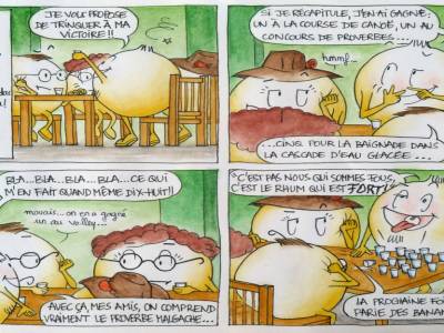 Ils sont fadas ces vazaha