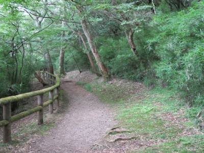 Un beau parc