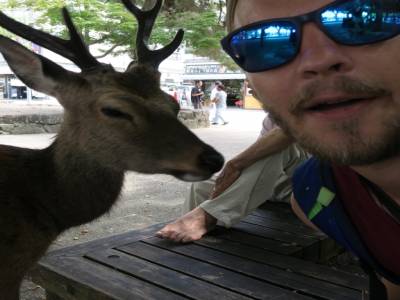 Simon et Pinpin le daim