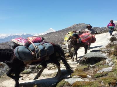 HUARAZ
