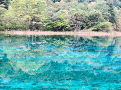 Oh la belle bleue!