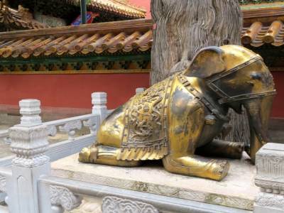 Même les éléphants s'inclinent devant l'empereur...