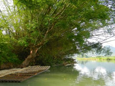 Bord de la rivière
