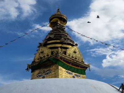 Bouddha te regarde...