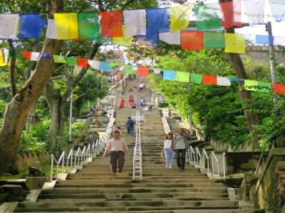Temple des singes