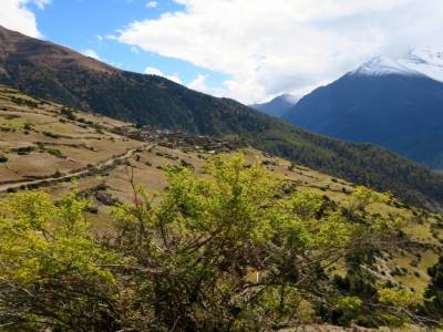 Paysage