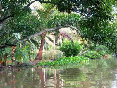 In the jungle