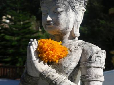 Beau Bouddha fleuri