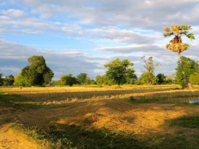 A la campagne