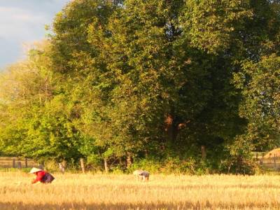 Campagne