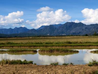 Paysage
