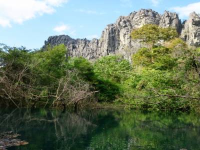 Lagon bleu et arbres verts