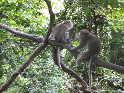 Ubud
