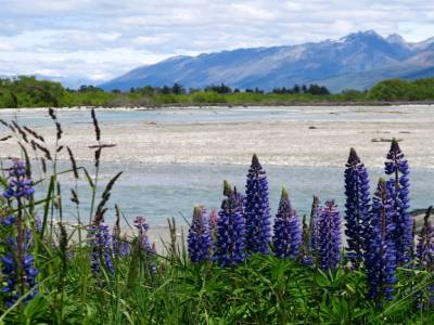 Lac vers Queenstown