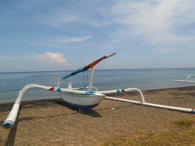 Amed