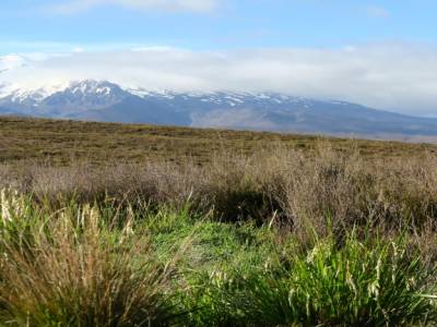 Volcan Ruapehu