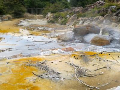 Parc thermal de Rotorua