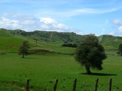 Beau paysage