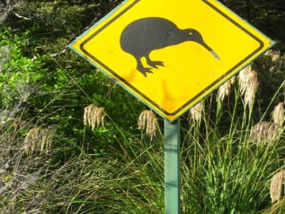 Attention aux kiwis!