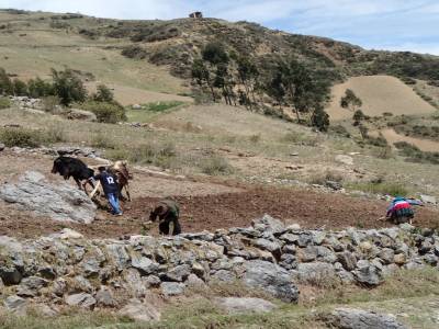 Treck Wilcacocha