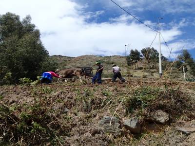 Treck Wilcacocha